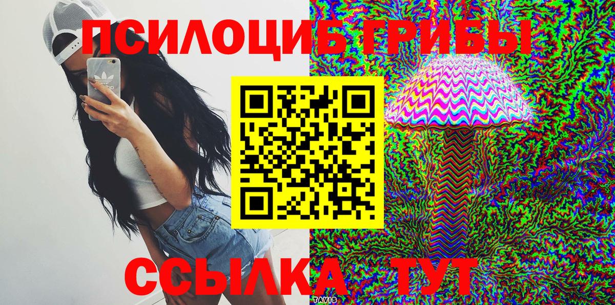 Курск  Псилоцибиновые грибы мицелий  Вход с VPN  Псилоцибиновые грибы прущие грибы 
